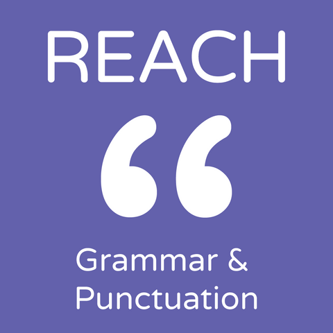 2025 Reach Assessments - Grammar and Punctuation INT